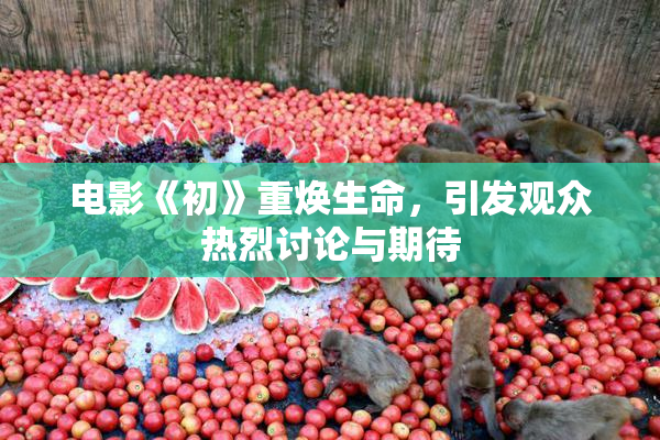 电影《初》重焕生命，引发观众热烈讨论与期待