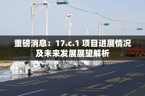 重磅消息：17.c.1 项目进展情况及未来发展展望解析