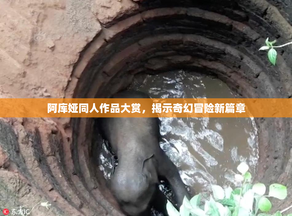 阿库娅同人作品大赏，揭示奇幻冒险新篇章