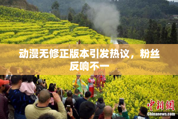 动漫无修正版本引发热议，粉丝反响不一