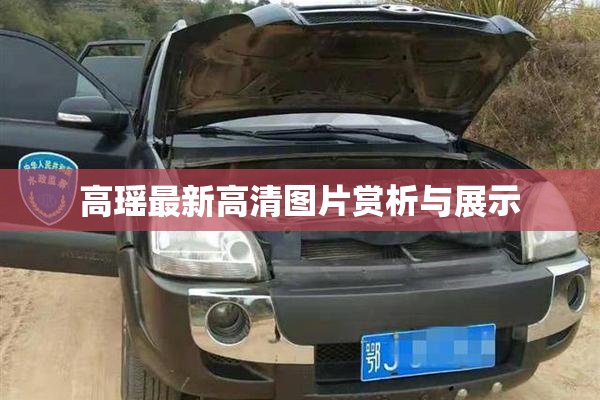 高瑶最新高清图片赏析与展示