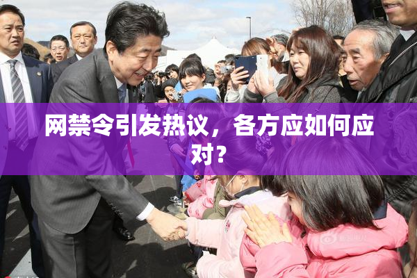 网禁令引发热议，各方应如何应对？