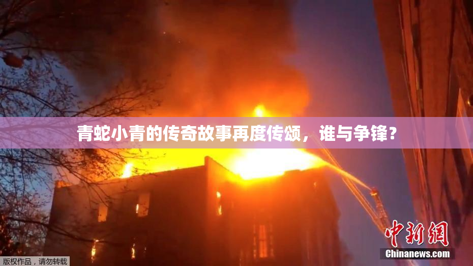 青蛇小青的传奇故事再度传颂，谁与争锋？