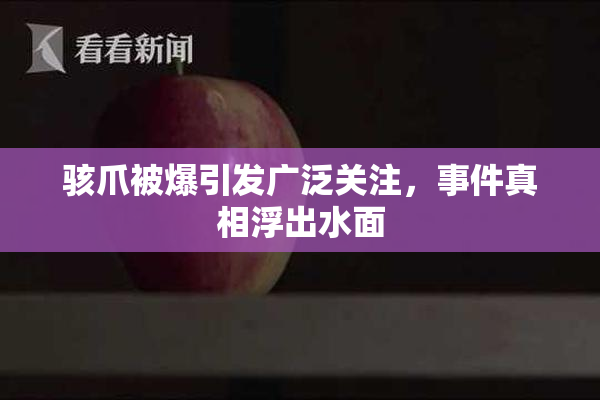 骇爪被爆引发广泛关注，事件真相浮出水面