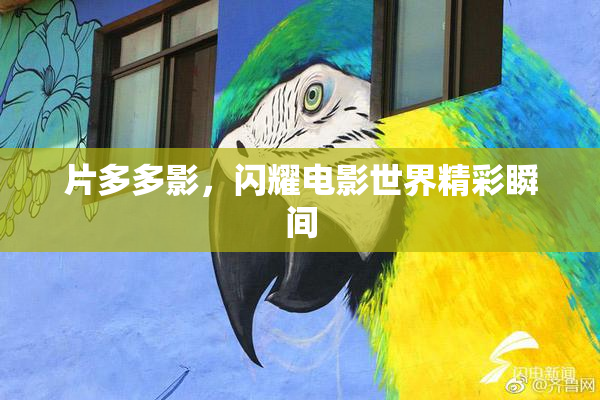 片多多影，闪耀电影世界精彩瞬间