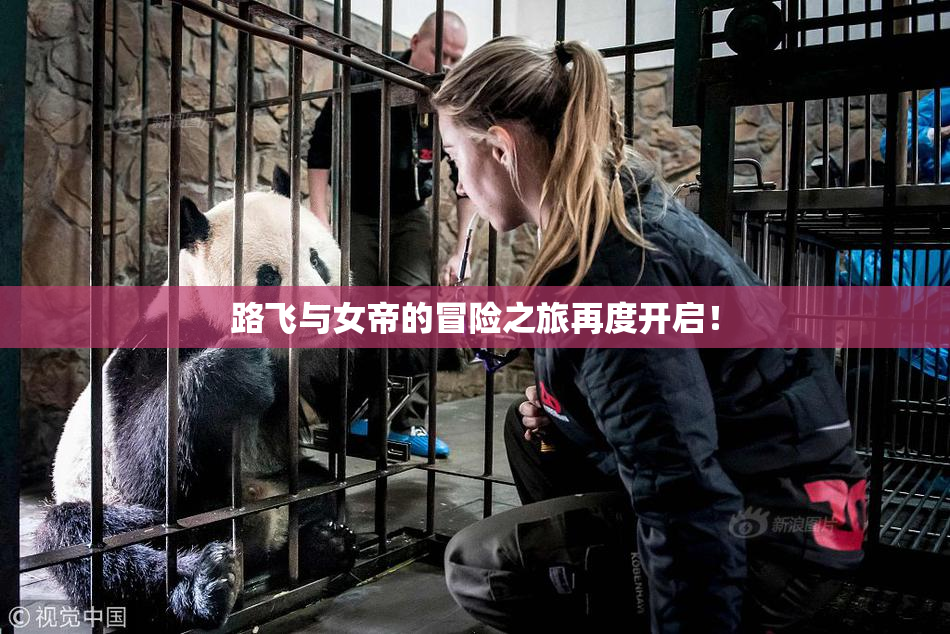 路飞与女帝的冒险之旅再度开启！