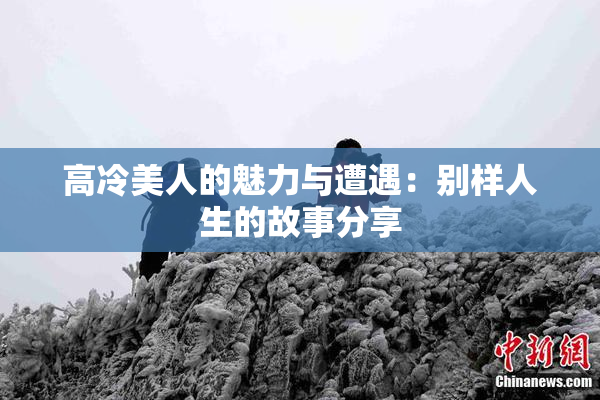 高冷美人的魅力与遭遇：别样人生的故事分享