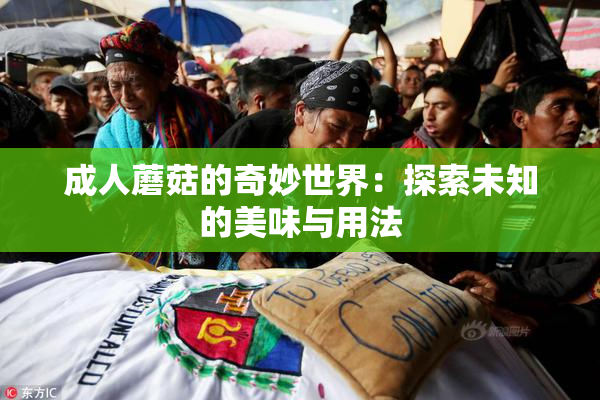 成人蘑菇的奇妙世界：探索未知的美味与用法