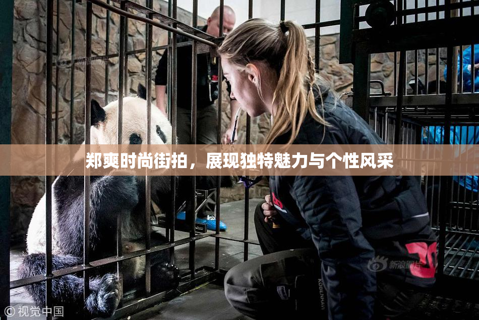 郑爽时尚街拍，展现独特魅力与个性风采