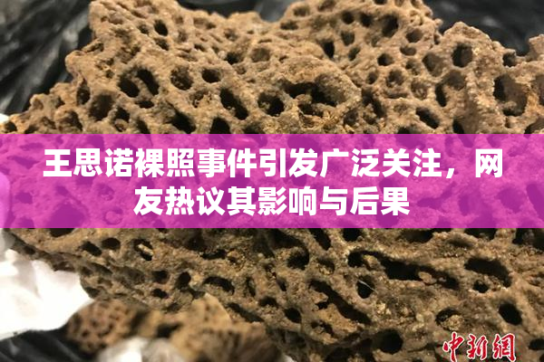 王思诺裸照事件引发广泛关注，网友热议其影响与后果