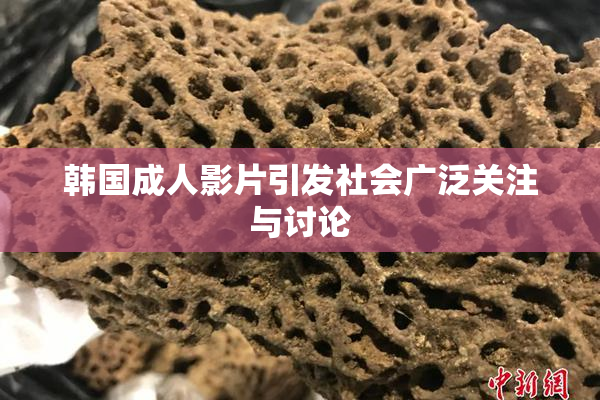 韩国成人影片引发社会广泛关注与讨论