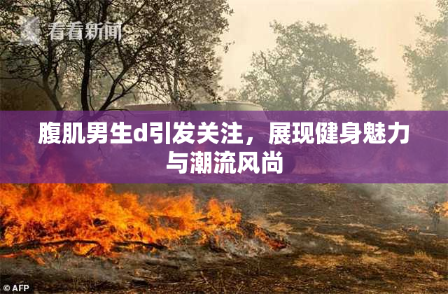 腹肌男生d引发关注，展现健身魅力与潮流风尚