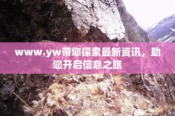 www.yw带您探索最新资讯，助您开启信息之旅