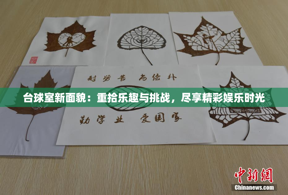 台球室新面貌：重拾乐趣与挑战，尽享精彩娱乐时光