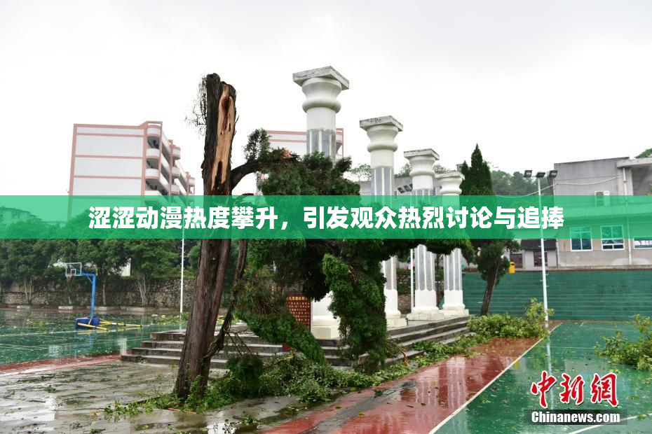 涩涩动漫热度攀升，引发观众热烈讨论与追捧