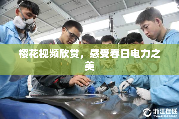 樱花视频欣赏，感受春日电力之美