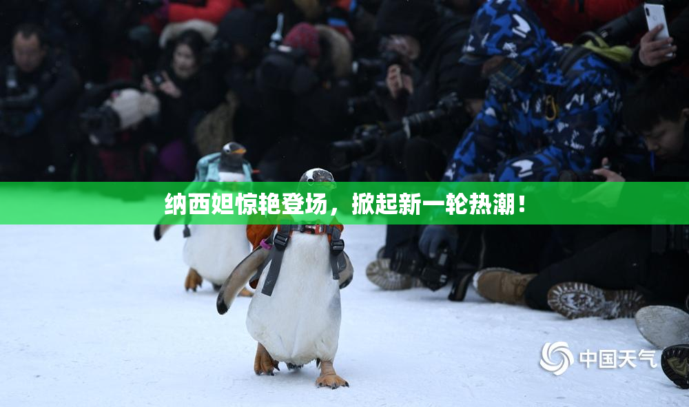 纳西妲惊艳登场，掀起新一轮热潮！