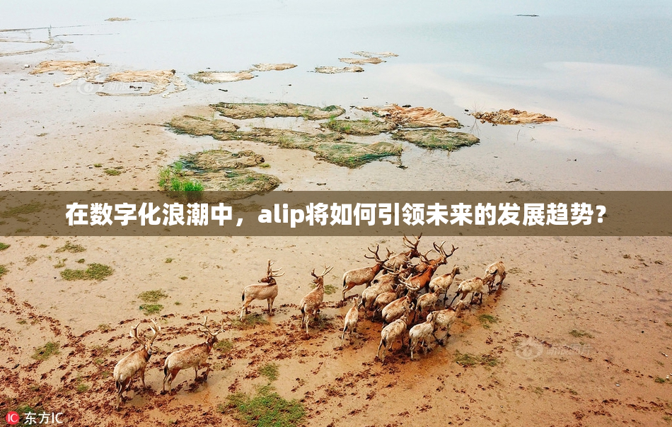 在数字化浪潮中，alip将如何引领未来的发展趋势？