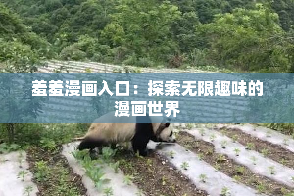 羞羞漫画入口：探索无限趣味的漫画世界
