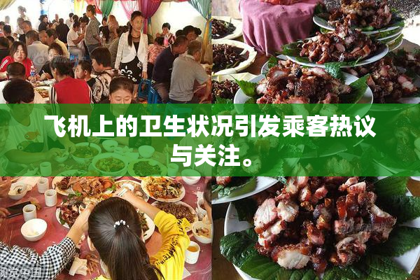 飞机上的卫生状况引发乘客热议与关注。