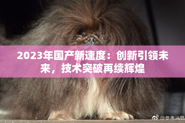 2023年国产新速度：创新引领未来，技术突破再续辉煌