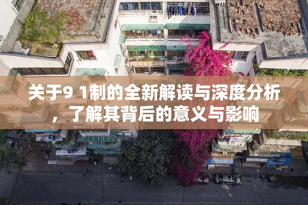 关于9 1制的全新解读与深度分析，了解其背后的意义与影响