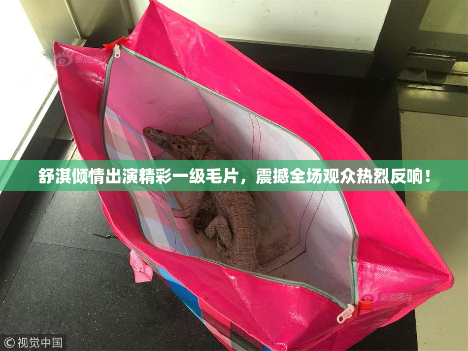 舒淇倾情出演精彩一级毛片，震撼全场观众热烈反响！