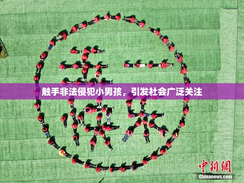 触手非法侵犯小男孩，引发社会广泛关注