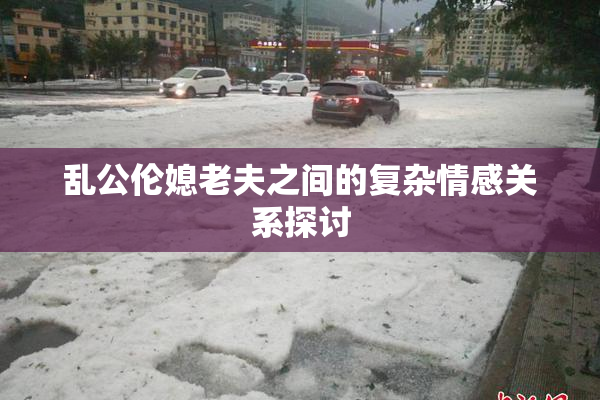 乱公伦媳老夫之间的复杂情感关系探讨
