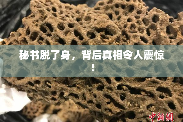 秘书脱了身，背后真相令人震惊！