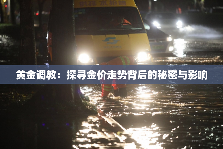 黄金调教：探寻金价走势背后的秘密与影响
