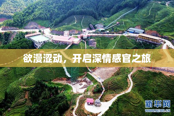 欲漫涩动，开启深情感官之旅