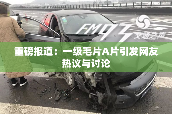 重磅报道：一级毛片A片引发网友热议与讨论