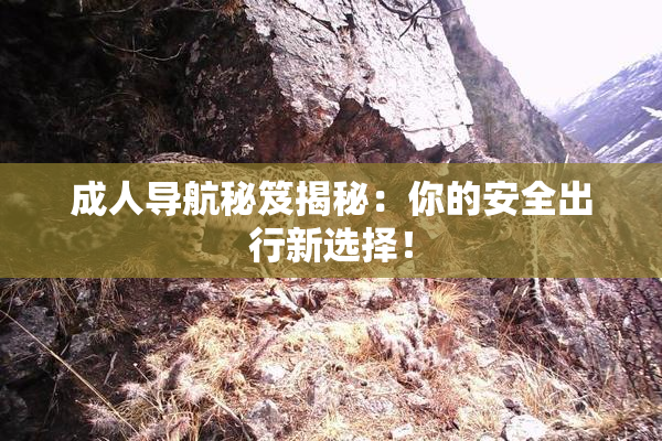 成人导航秘笈揭秘：你的安全出行新选择！