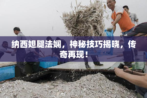纳西妲腿法娴，神秘技巧揭晓，传奇再现！