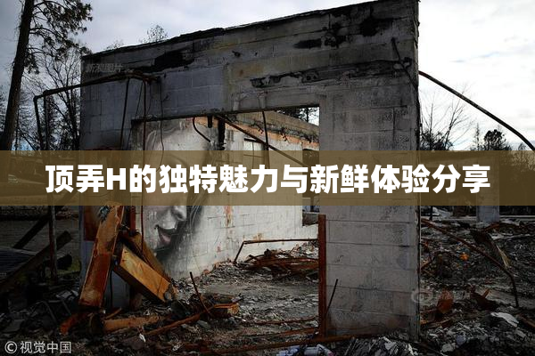 顶弄H的独特魅力与新鲜体验分享