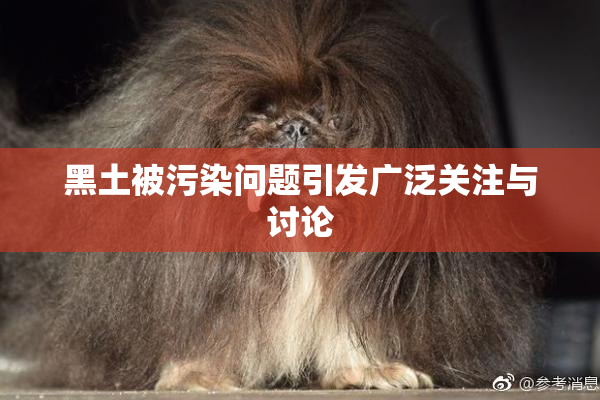 黑土被污染问题引发广泛关注与讨论