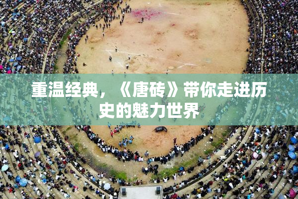 重温经典，《唐砖》带你走进历史的魅力世界