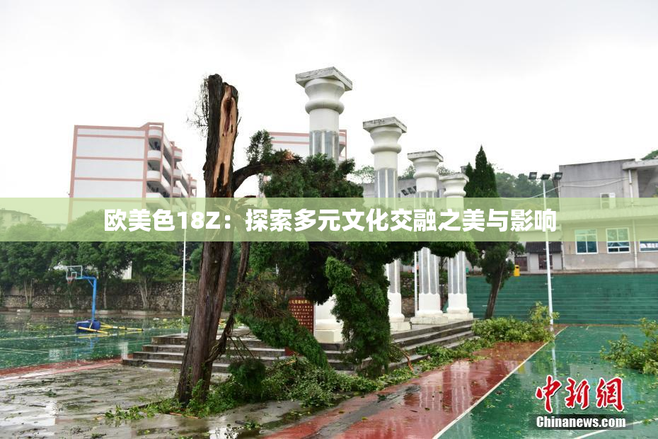欧美色18Z：探索多元文化交融之美与影响