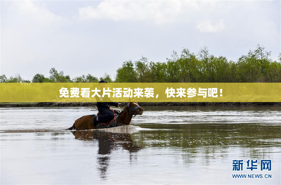 免费看大片活动来袭，快来参与吧！