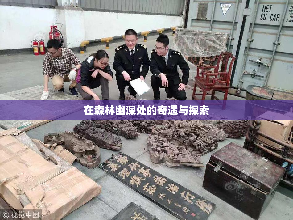 在森林幽深处的奇遇与探索