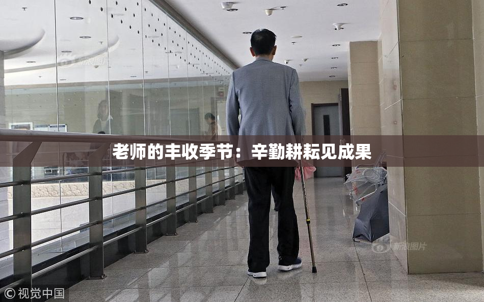 老师的丰收季节：辛勤耕耘见成果