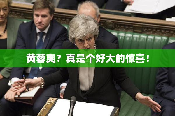 黄蓉爽？真是个好大的惊喜！