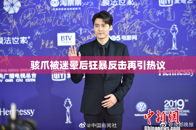 骇爪被迷晕后狂暴反击再引热议