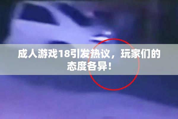 成人游戏18引发热议，玩家们的态度各异！