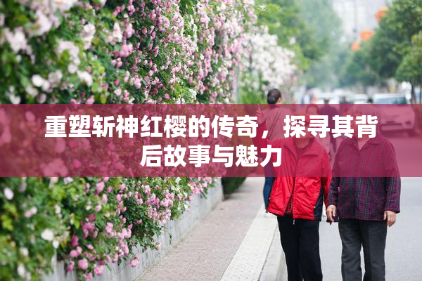 重塑斩神红樱的传奇，探寻其背后故事与魅力