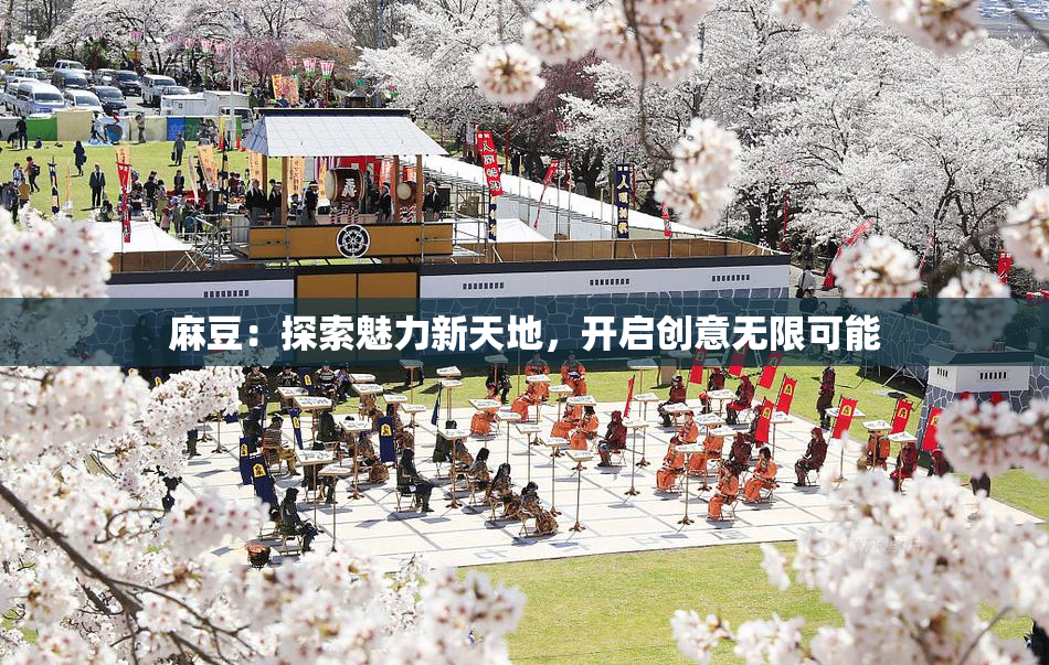 麻豆：探索魅力新天地，开启创意无限可能