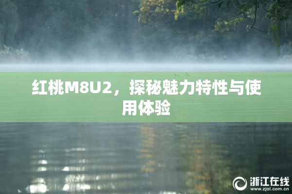 红桃M8U2，探秘魅力特性与使用体验