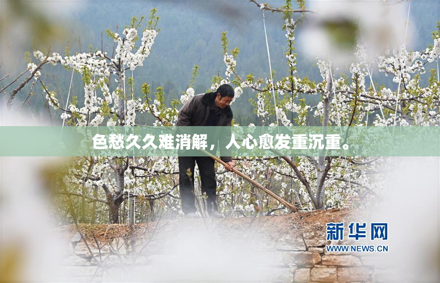 色愁久久难消解，人心愈发重沉重。