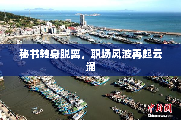 秘书转身脱离，职场风波再起云涌
